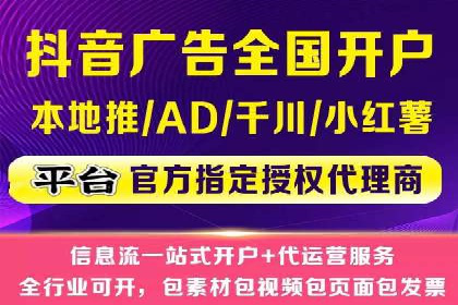 SEO策略在电商平台的成功应用案例